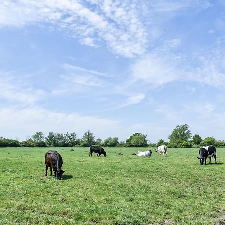 Green Acre Farm Ели Екстериор снимка