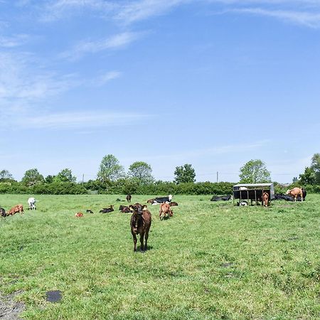 Green Acre Farm Ели Екстериор снимка